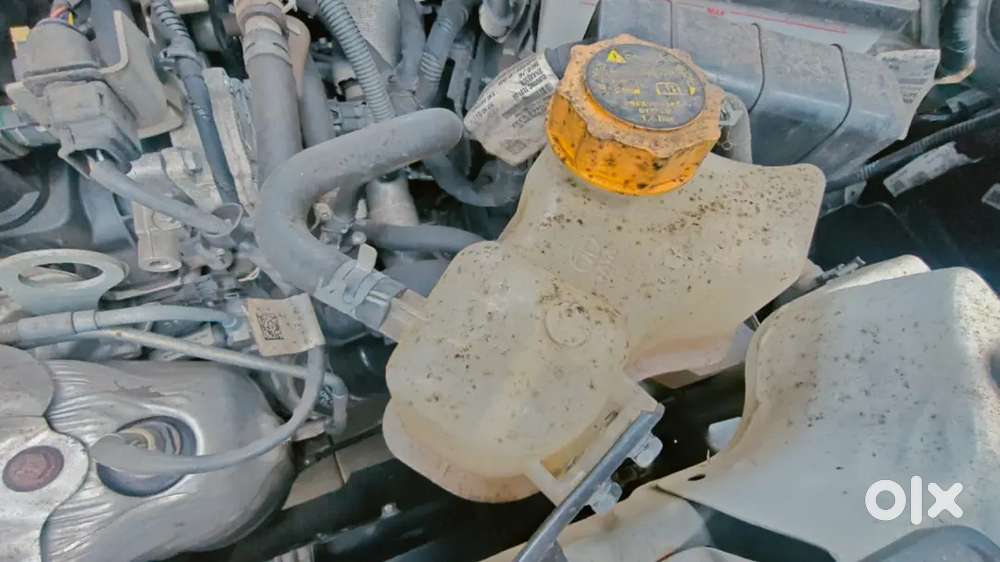 Tata Curvv 2024 Petrol Manual