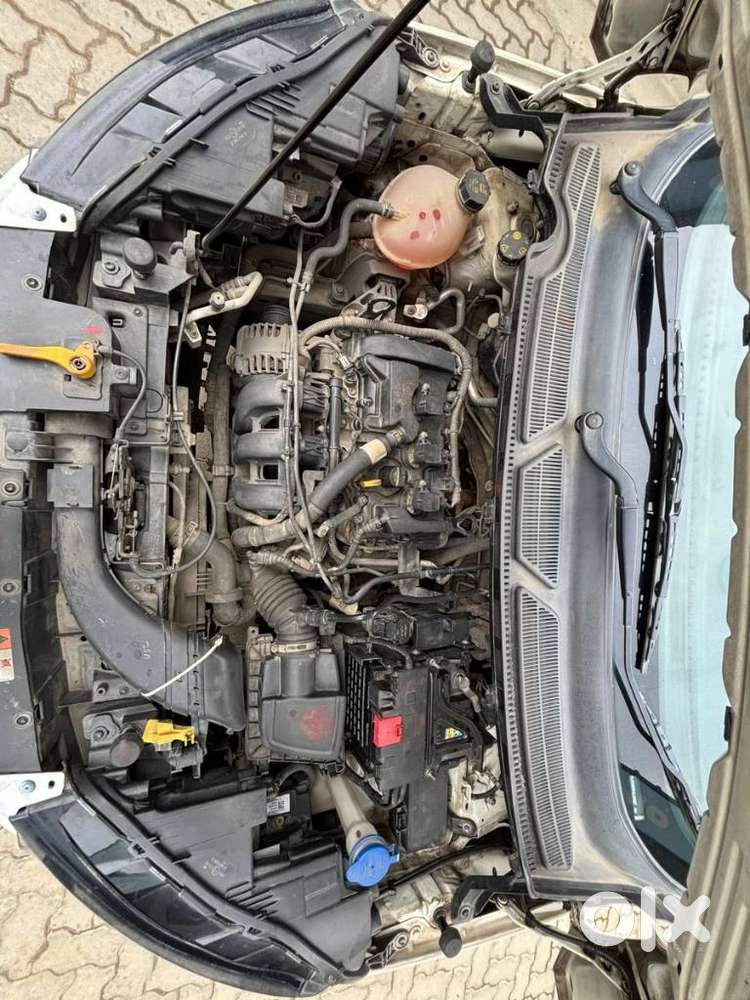 Ford Ecosport Signature Edition Petrol, 2021, Petrol