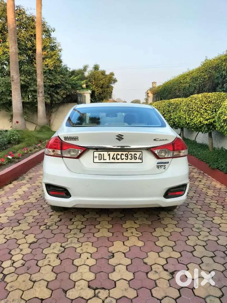 Ciaz Diesel Zdi+ 2016 December