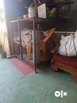 Dog store cages olx