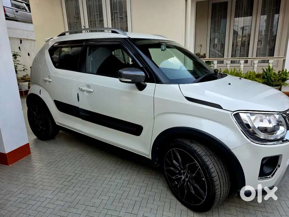 Top Model Ignis Alpha In Perfect Condition.