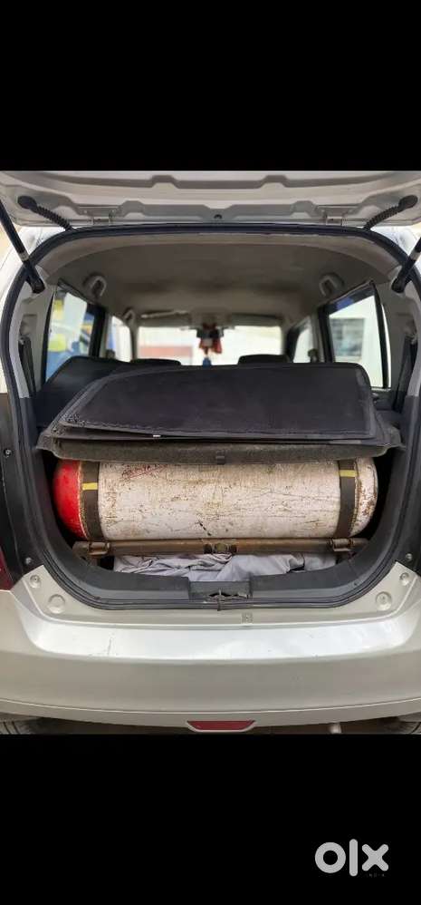 Maruti Suzuki Wagon R 2010 Petrol + Cng
