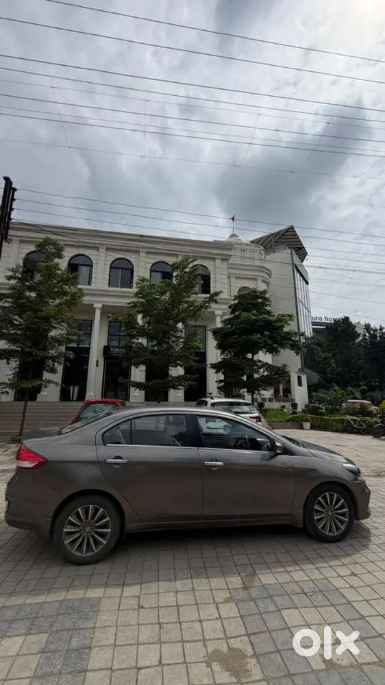 Maruti Suzuki Ciaz Smart Hybrid Topline Alpha Model