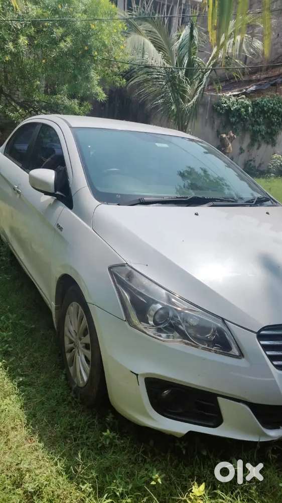 Maruti Suzuki Ciaz 2017 Diesel 50000 Km Driven