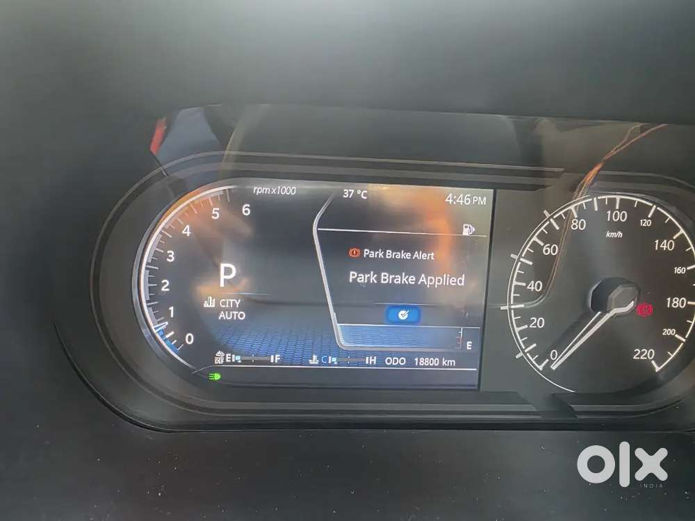 Showroom Condition Safari Limited Edition Top Model