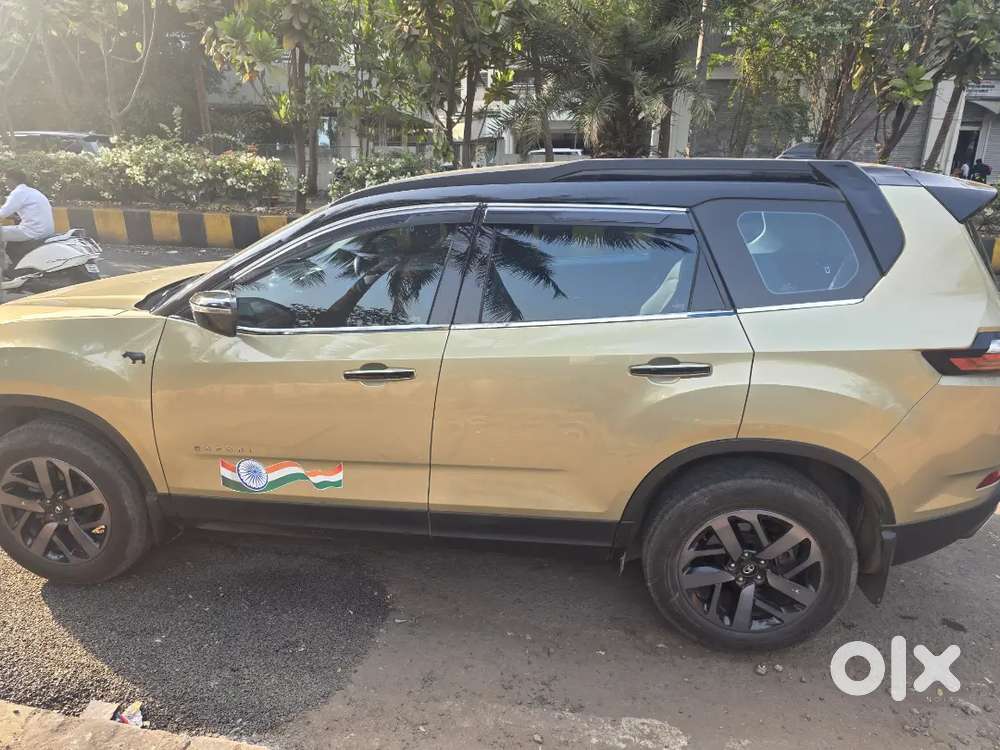 Showroom Condition Safari Limited Edition Top Model