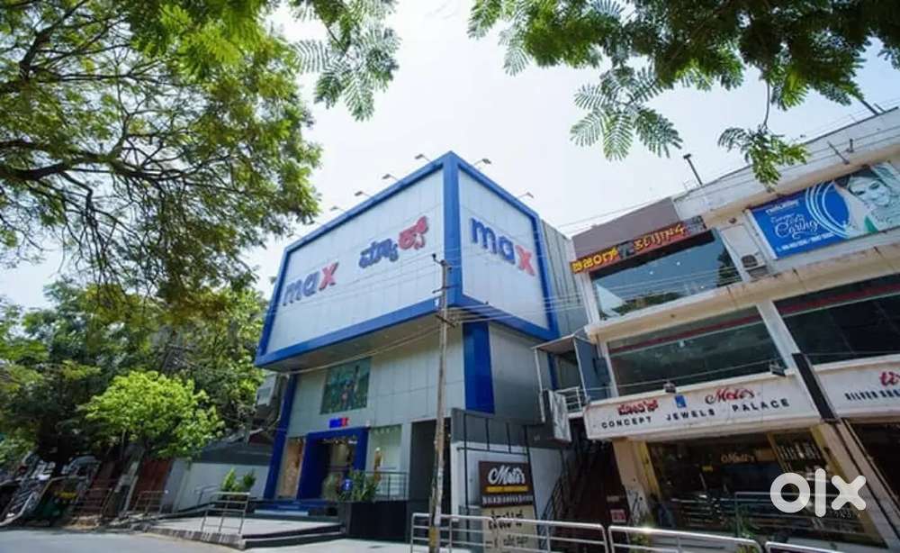 Max private limited