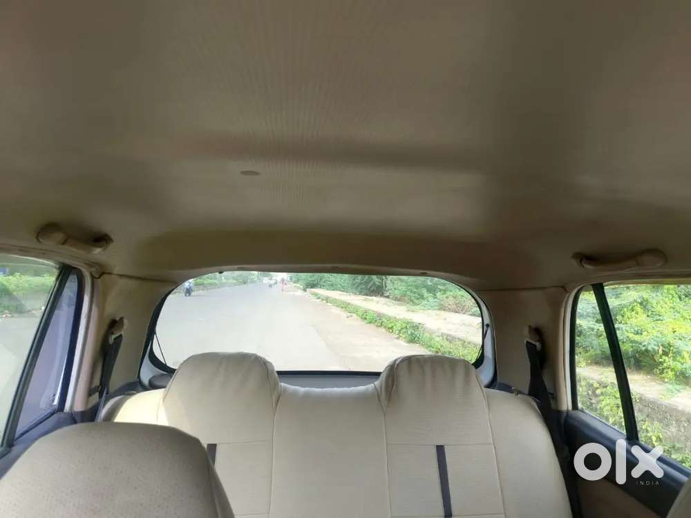 Hyundai Santro Xing 2010