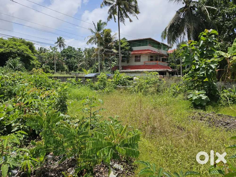 Squre House Plot in India, Free classifieds in India OLX