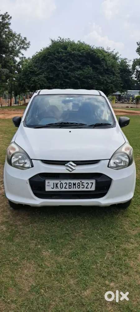 Alto 800 Purchase November 2025 Month