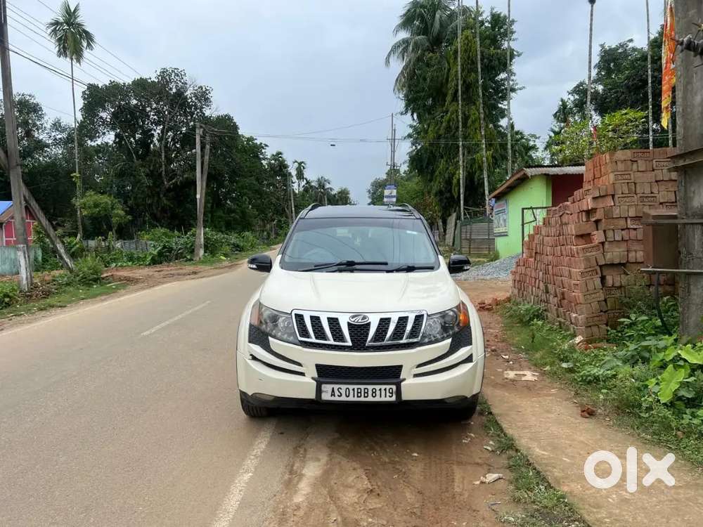 Xuv 500 White Coler