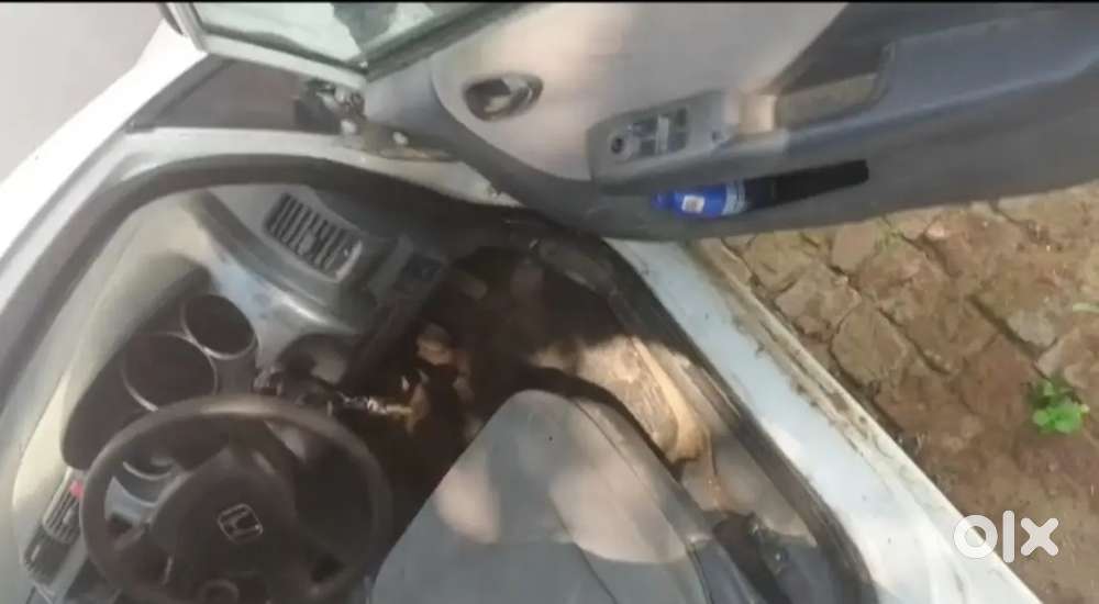 Honda City 2008 Diesel Well Maintained