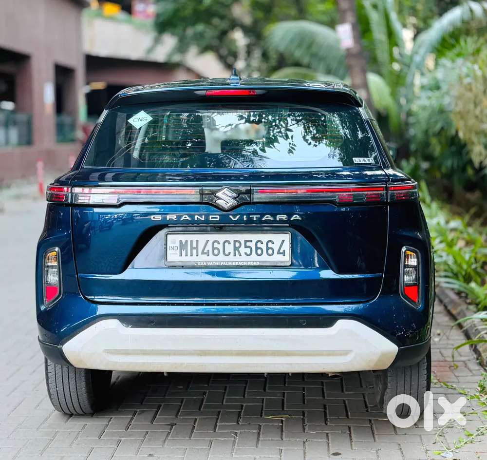 Grand Vitara Delta Cng 2024
