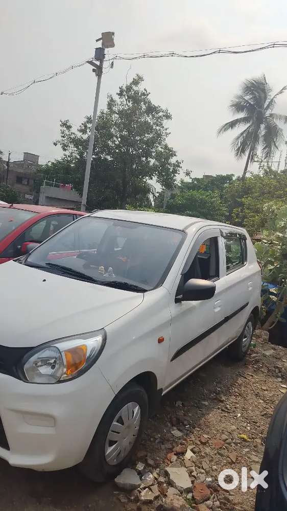 Maruti Suzuki Alto 800 2023 Petrol Good Condition 19000 Km Driven