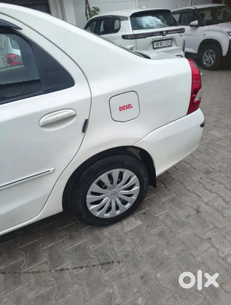 All Services Company Record. Globe Models