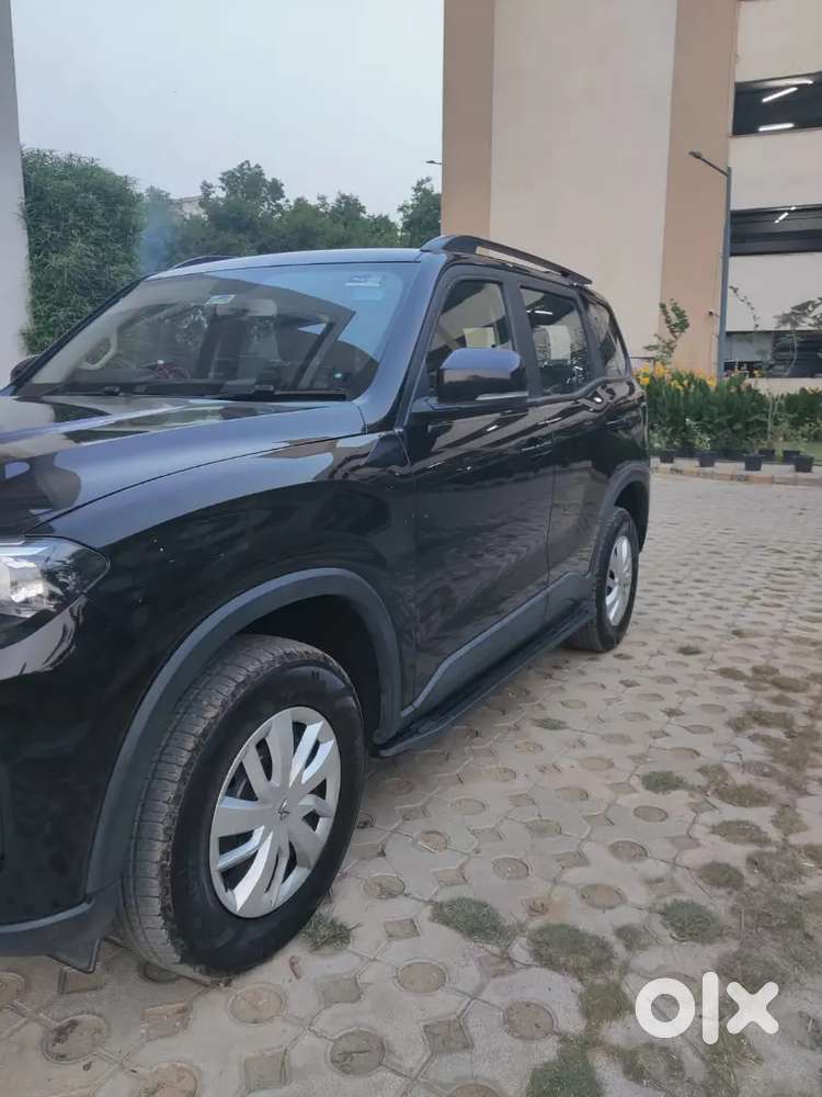 Scorpio N Z4 Petrol At, 9 Months Old