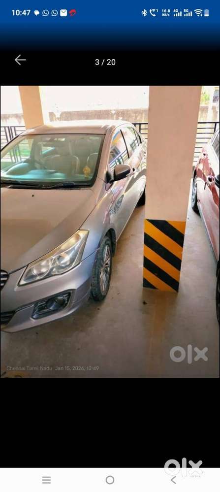 Maruti Suzuki Ciaz Alpha+  Top-end Variant  Manual  Premium Conditi