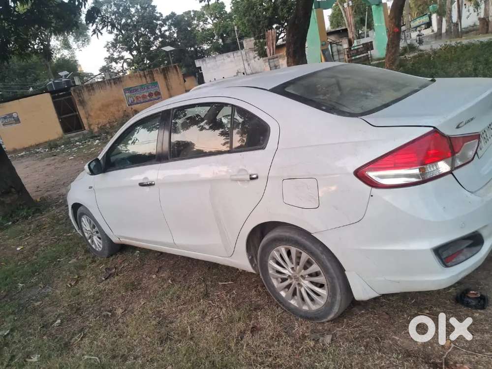 Ciaz Maruti Suzuki 2017 Diesel