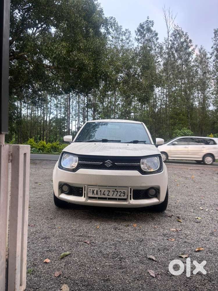 Maruti Suzuki Ignis 2019 Petrol Well Maintained