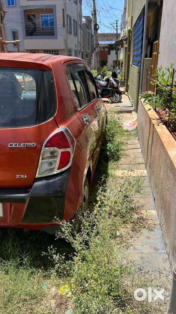 Maruti Suzuki Celerio 2014 Petrol Well Maintained