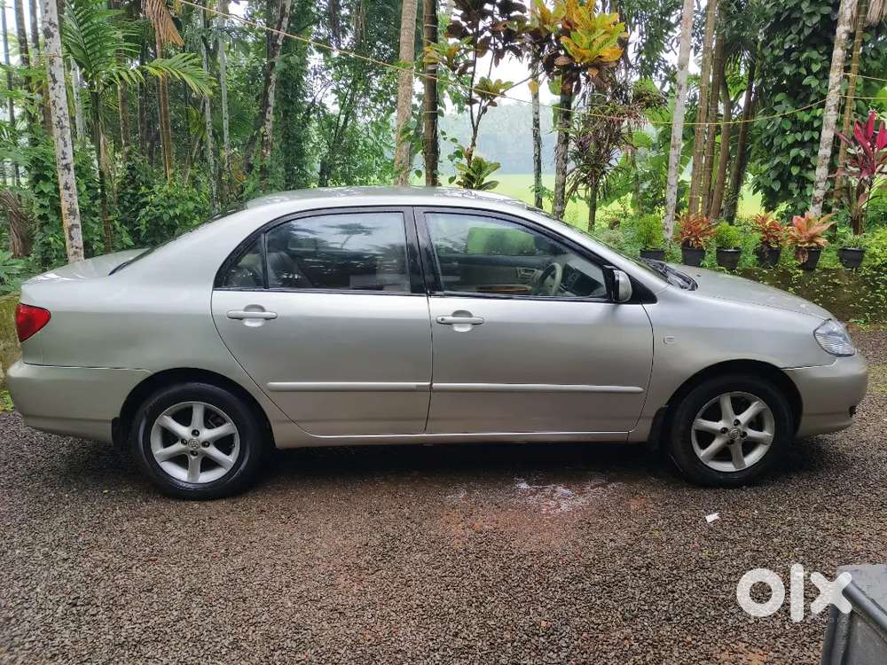Toyota Corolla 2006 Manual Year