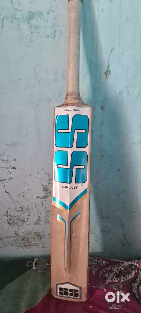 Cricket bat