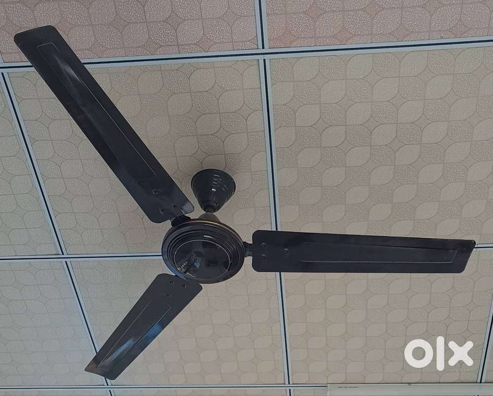 4 brown crompton greaves Hi speed fans