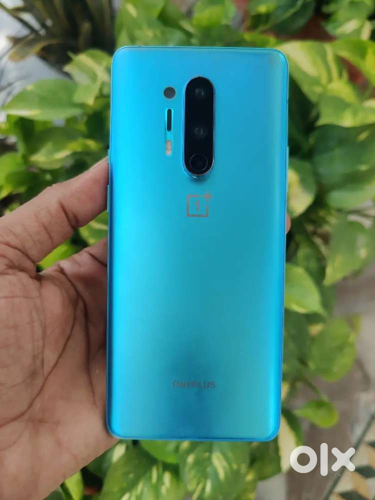 No.286 宝石泥棒トカゲ 両面仕様 qPIGpオリジナル Oneplus 8 pro 256gb no any scratch - Mobile Phones in undefined