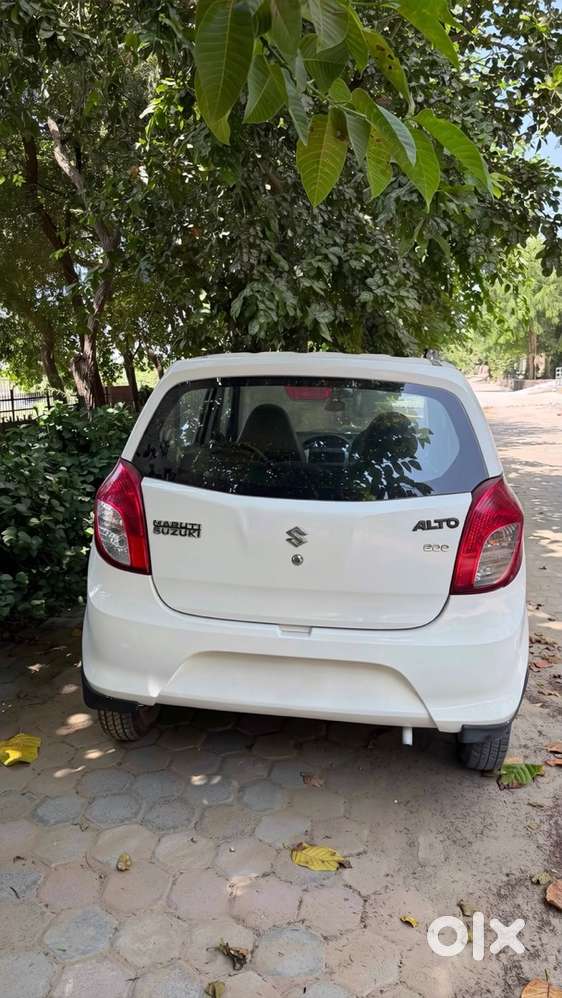 Maruti Suzuki 800 Manual 2017