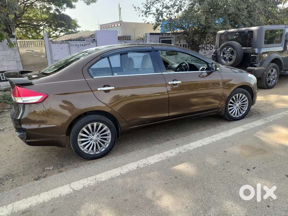 Ciaz Alpha