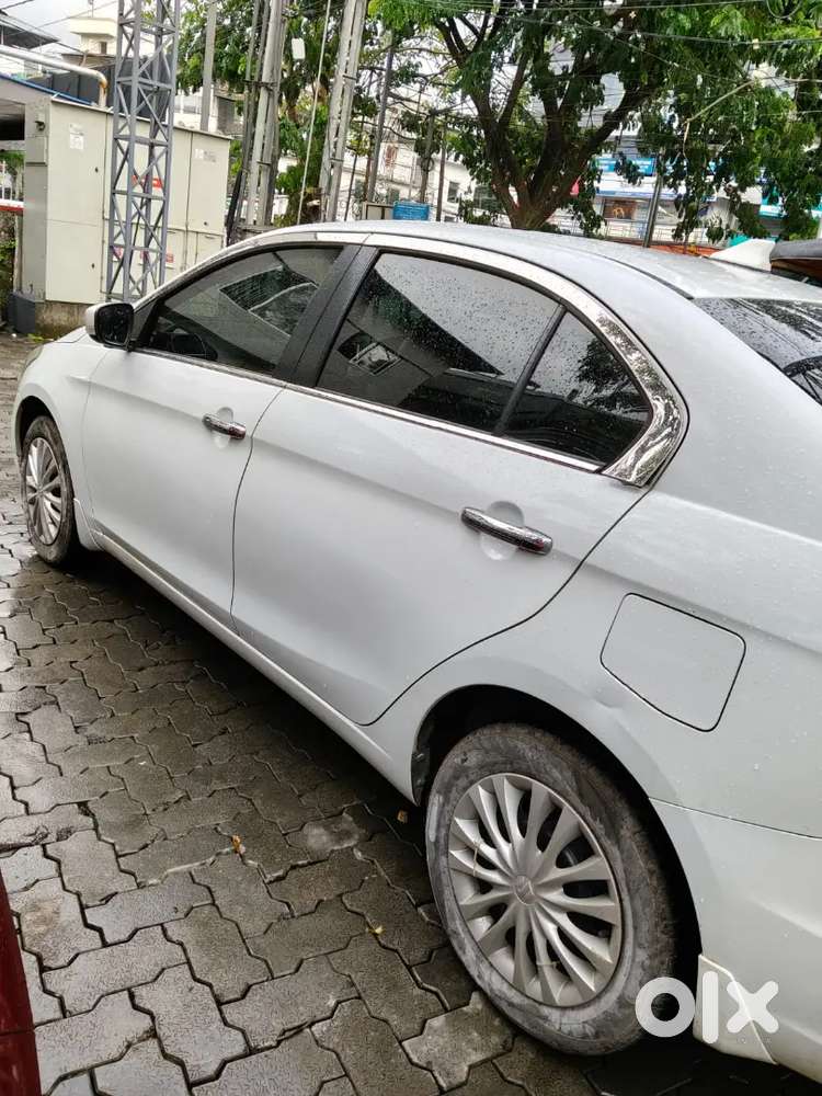 Ciaz Maruti Suzuki 2016 Model