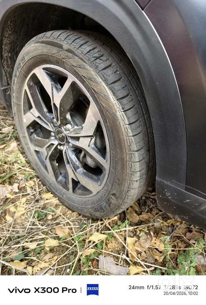 Kia Seltos 2024 Petrol 14000 Km Driven