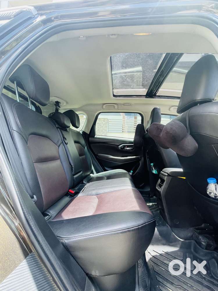 Maruti Suzuki Grand Vitara Smart Hybrid Alpha, 2023, Petrol