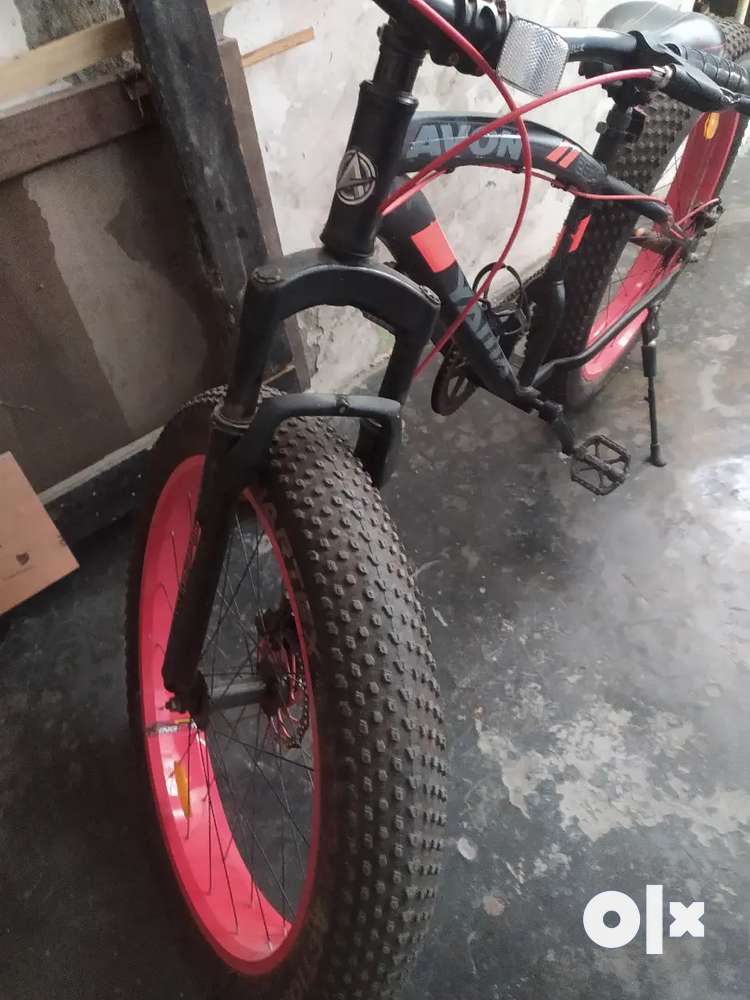 Fat bike online olx