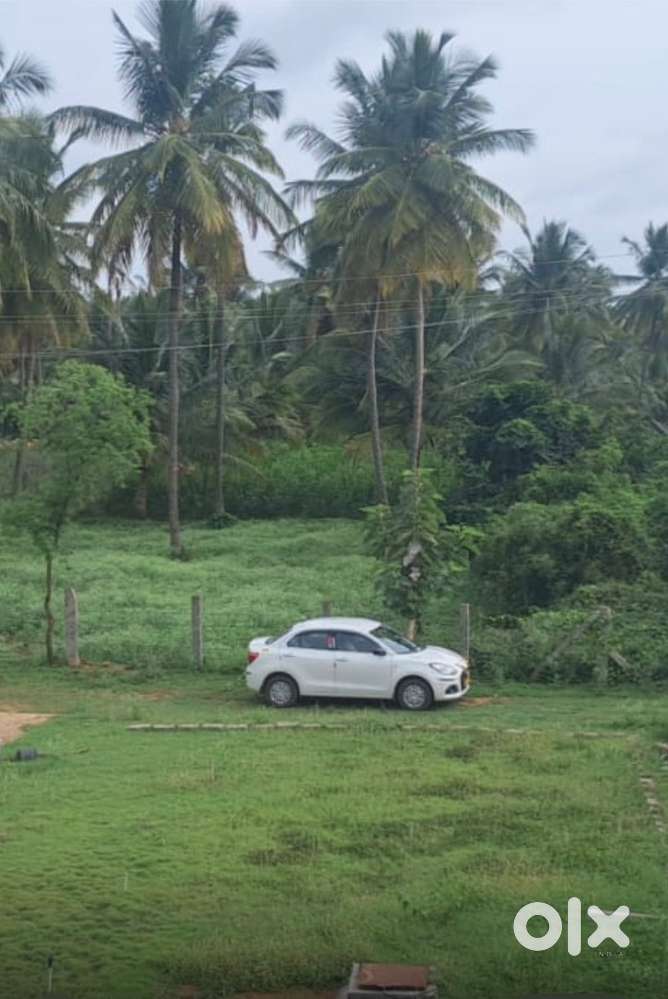 Maruti Suzuki Dzire 2024