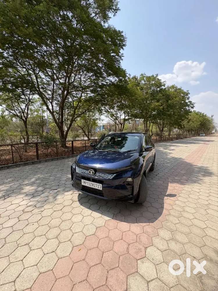 Tata Curvv Petrol Manual 2025 Km Driven