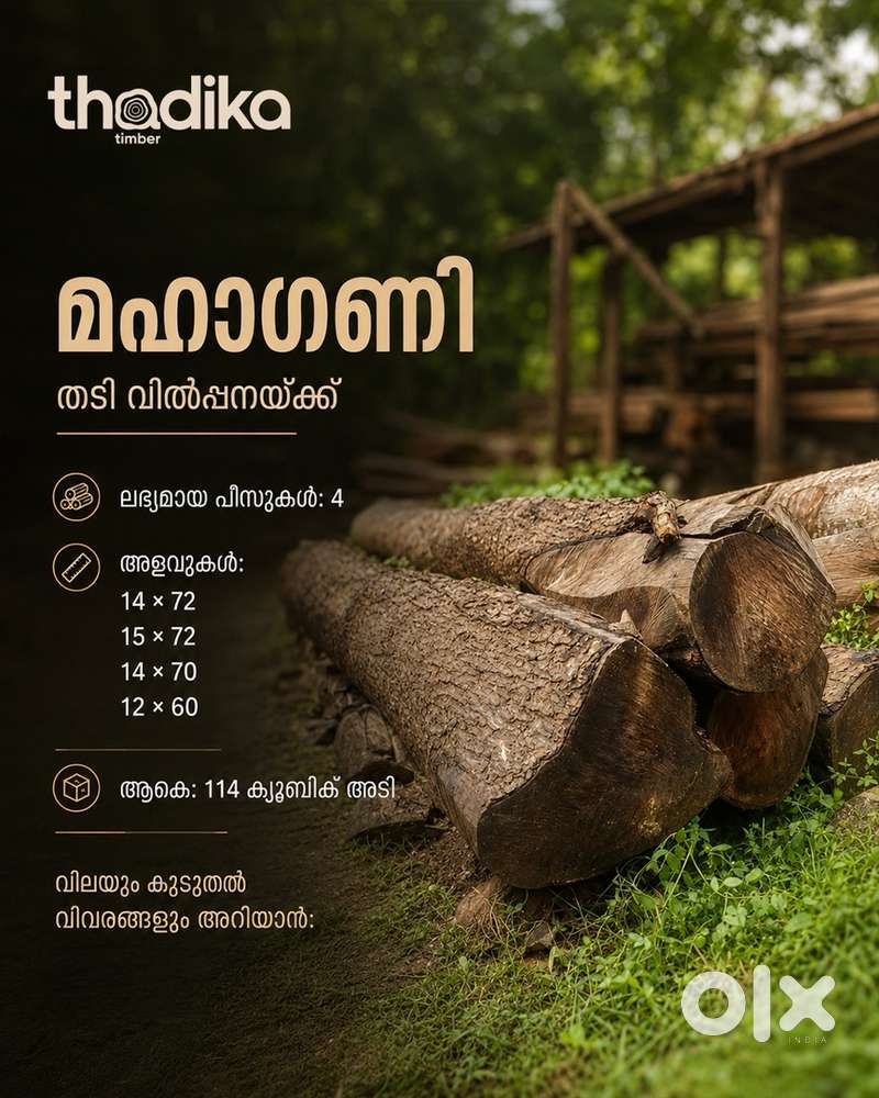 Mahogany  മഹാഗണി തടി വിൽപ്പനയ്ക്ക്