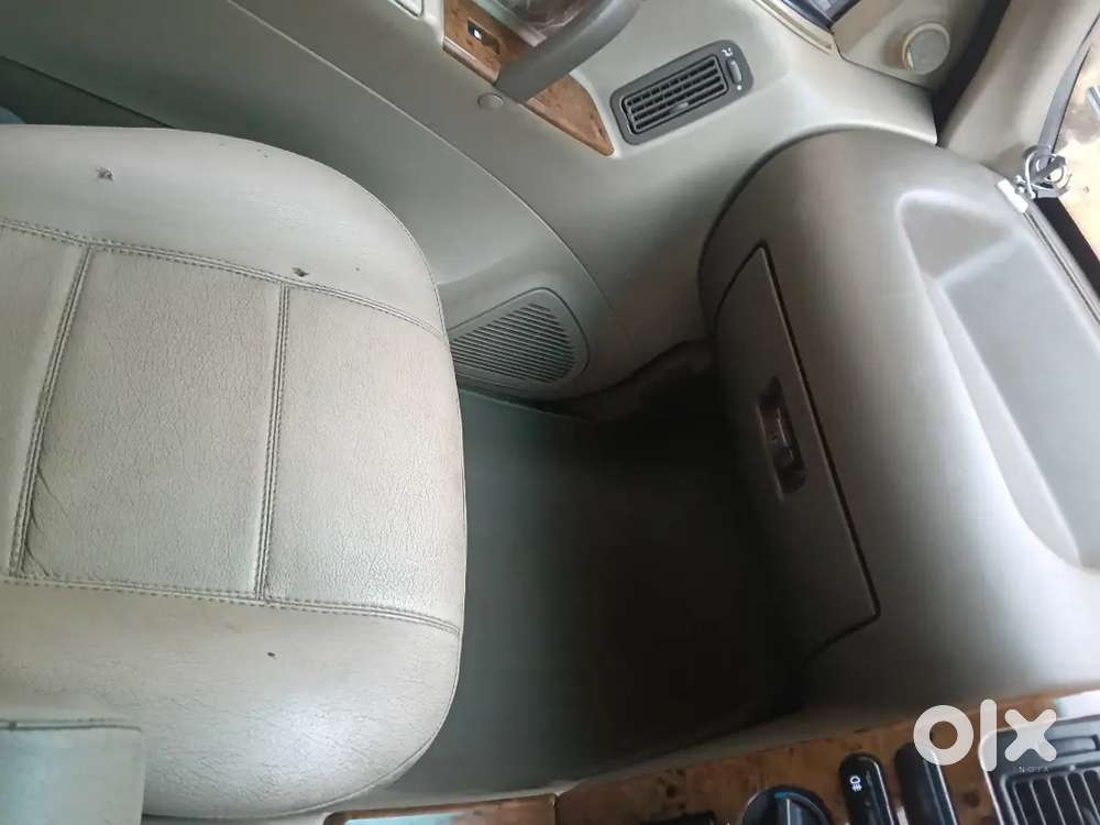 Safari Is Driving On Single Hand