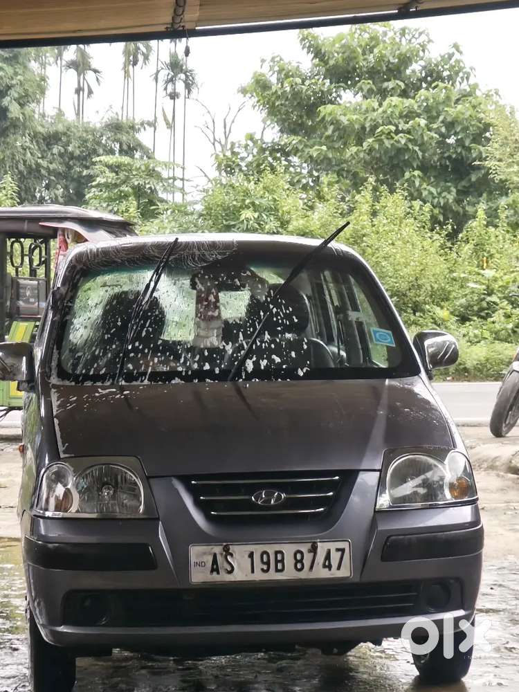 Hyundai Santro 2009 Manual