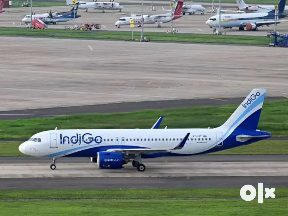 Required for Male and female candidates for indigo Airlines jobs ...