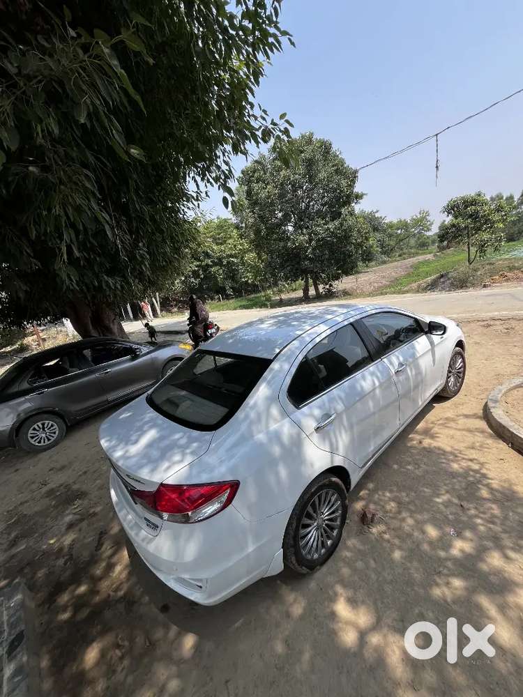 Maruti Ciaz Zdi+ 2016 | Well Maintained | Diesel | Family Used