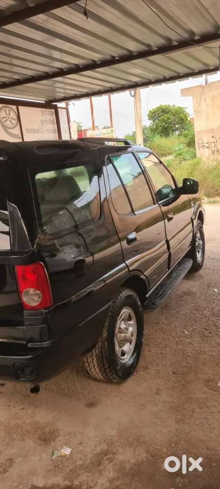 Tata Safari 13 Year Old
