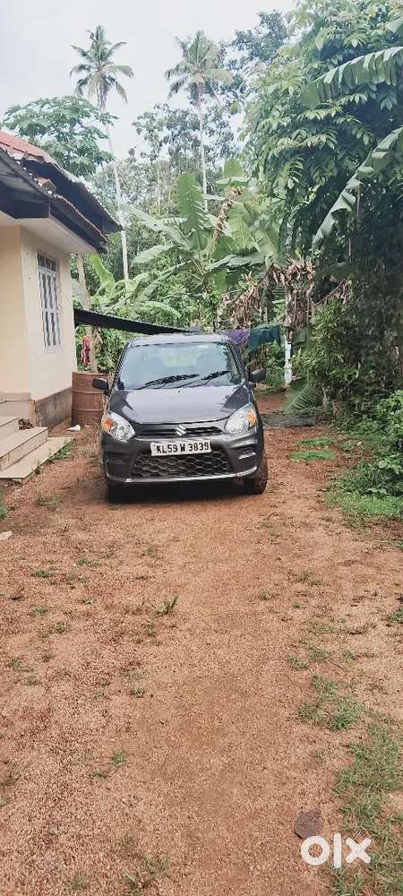 Maruti Suzuki 800 2020 Petrol 31876 Km Driven