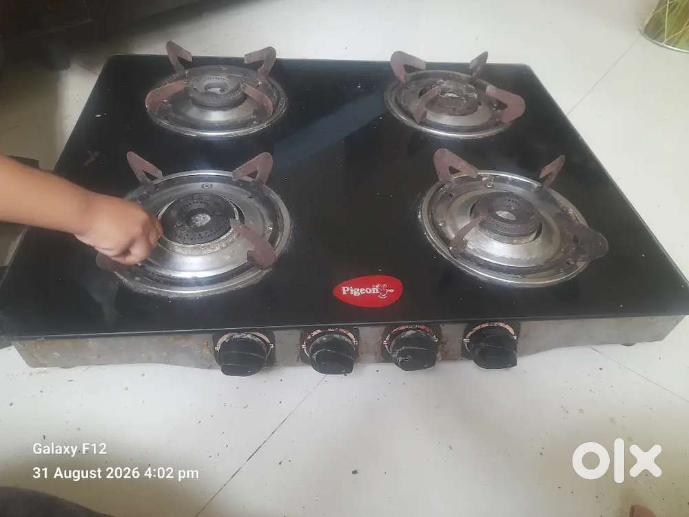 Gas stove pigeon