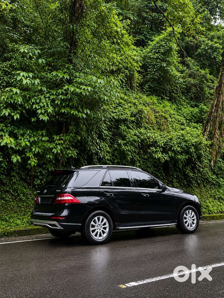 2013 Mercedes-benz Ml 250