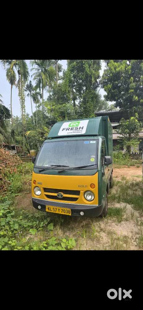 Petrol vehcle container body