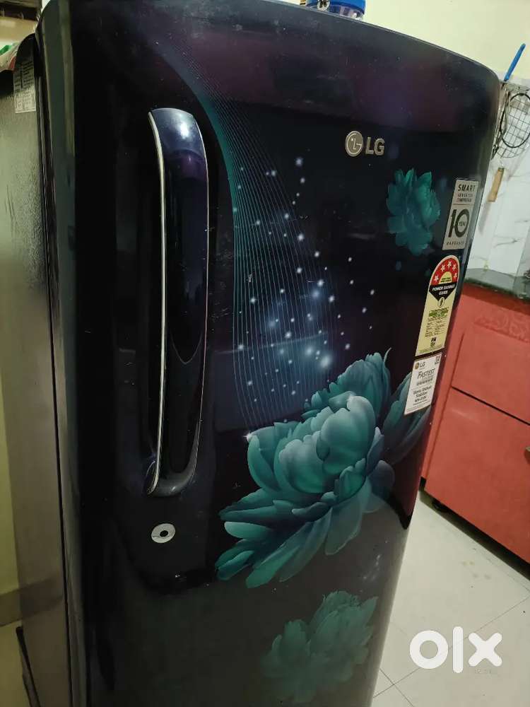 Lg fridges 4 year old signal door 5 star