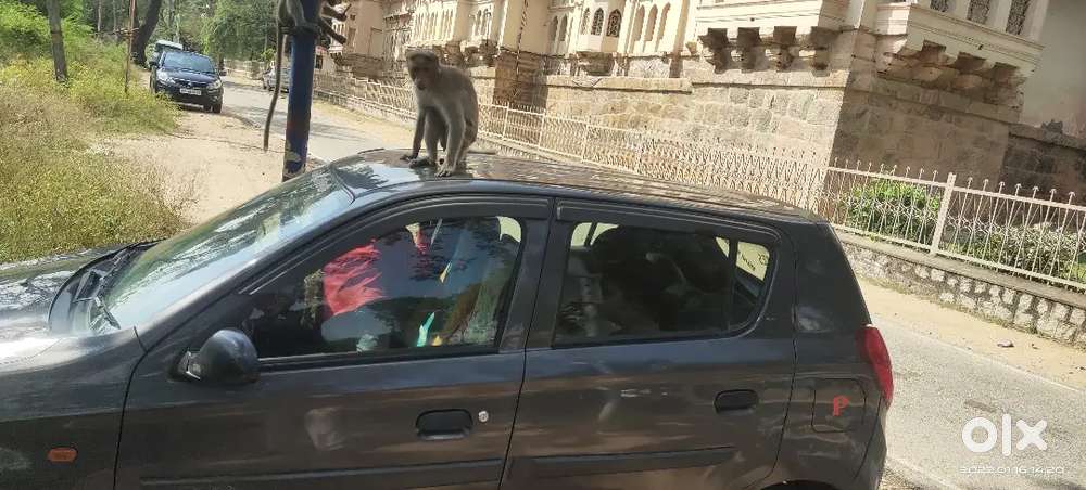 Maruti Suzuki Alto 800 2018