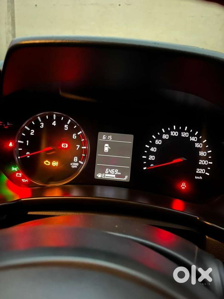 11 Months Old Swift 2025