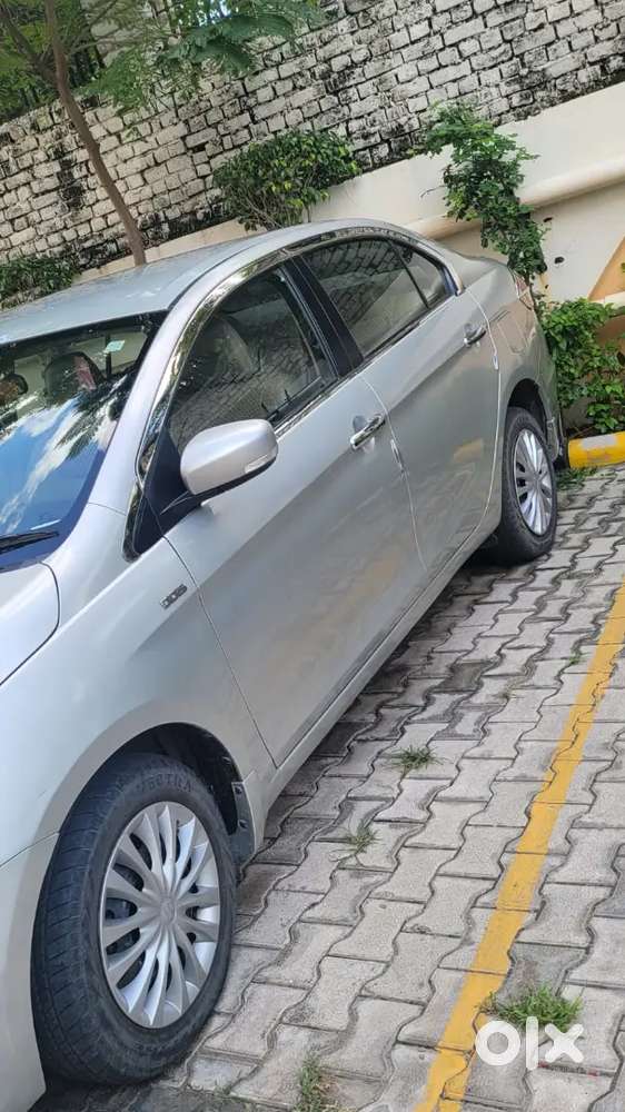 Maruti Suzuki Ciaz S